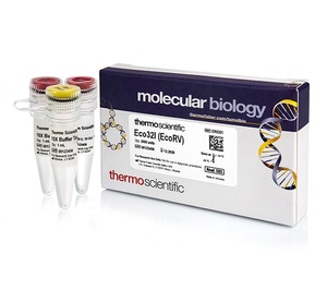 Thermo Scientific™ Eco32I (EcoRV) (10 U/μL)
