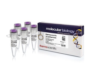 Thermo Scientific™ FastDigest™ Buffer (10X), 5 x 1mL