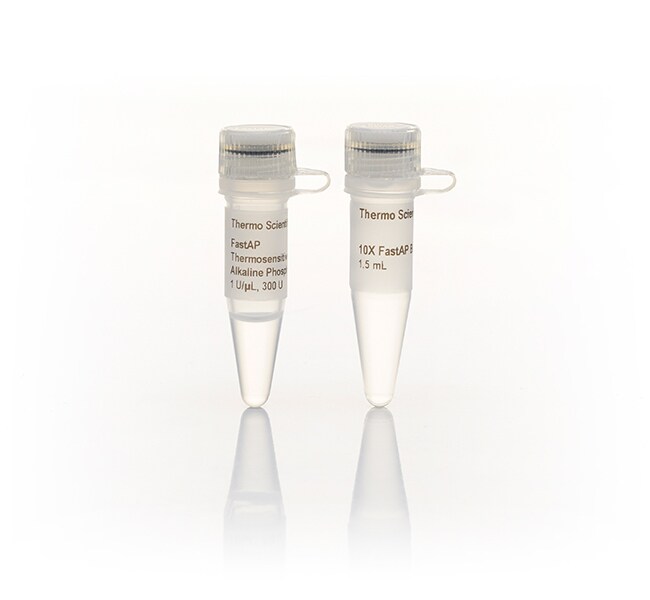 Thermo Scientific™ FastAP™ Thermosensitive Alkaline Phosphatase (1 U/μL)