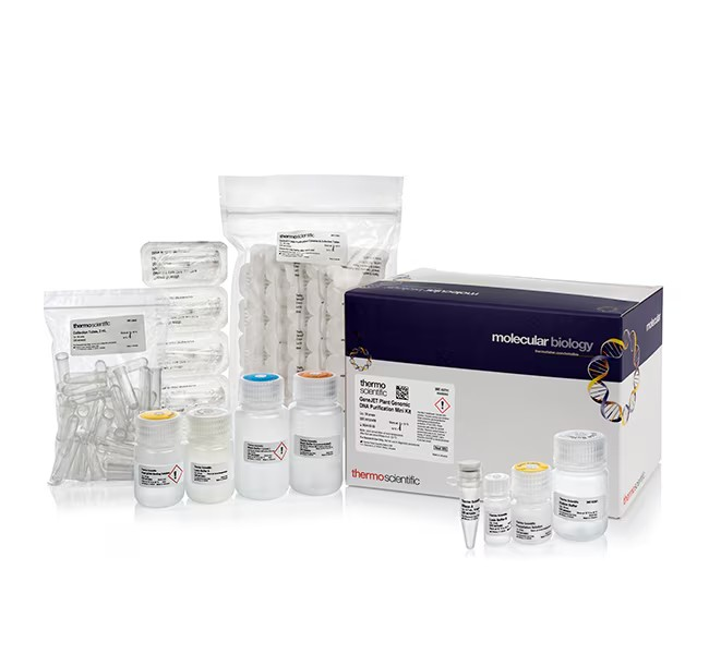 Thermo Scientific™ GeneJET Plant Genomic DNA Purification Kit