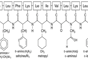 Thermo Scientific™ Cecropin A (1-7) -Melittin (2-9) Hybrid Peptide