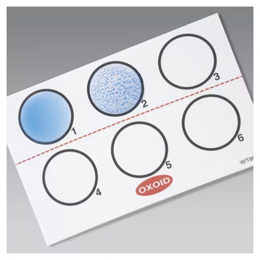 [DR0800M] Thermo Scientific™ Legionella Latex Test Kit, 50 Tests (Legionella Latex Test)