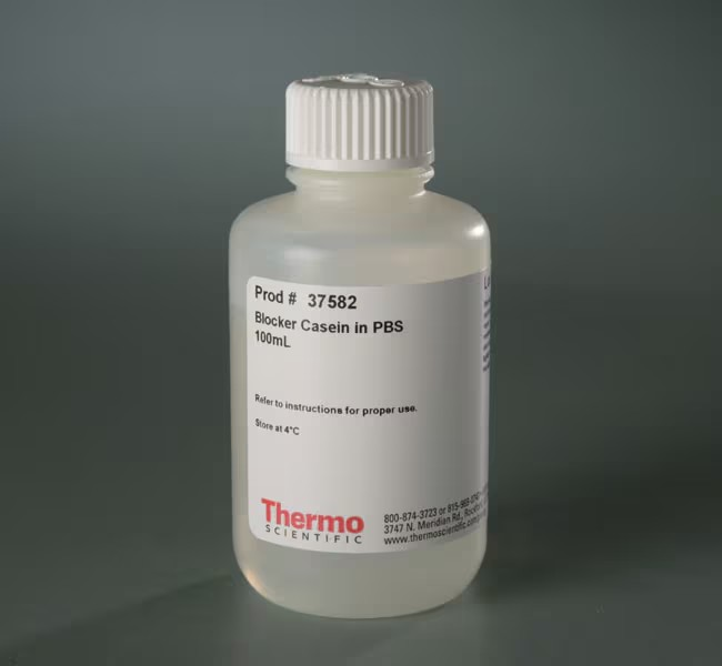 Thermo Scientific™ Blocker™ Casein