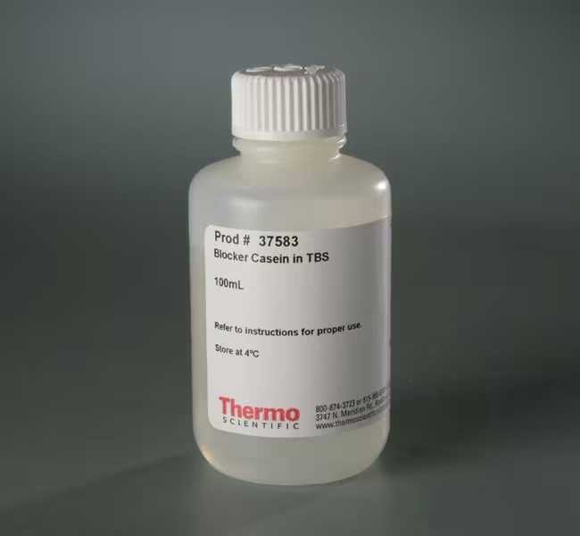 Thermo Scientific™ Blocker™ Casein