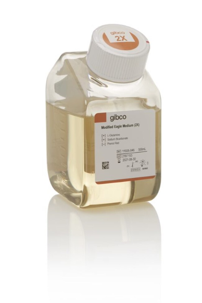 Gibco™ MEM (Temin's modification) (2X), no phenol red, 500 mL 