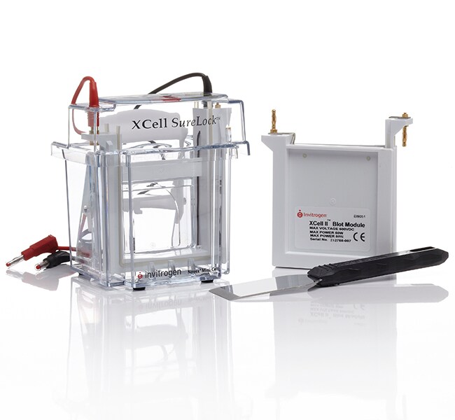 Invitrogen™ XCell SureLock™ Mini-Cell and XCell II™ Blot Module Combo Pack