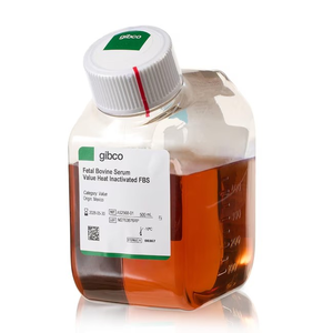 Gibco™ Fetal Bovine Serum, Value, Heat Inactivated