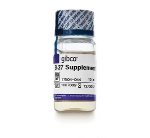 Gibco™ B-27™ Supplement (50X), Serum-Free