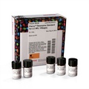 Thermo Scientific™ Pierce™ Reserpine Standard for LC-MS, 5 x 1mL