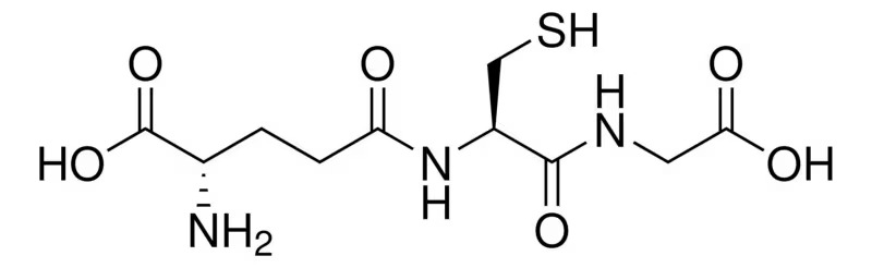 Sigma-Aldrich™ L-Glutathione Reduced (GSH), ≥98% Purity