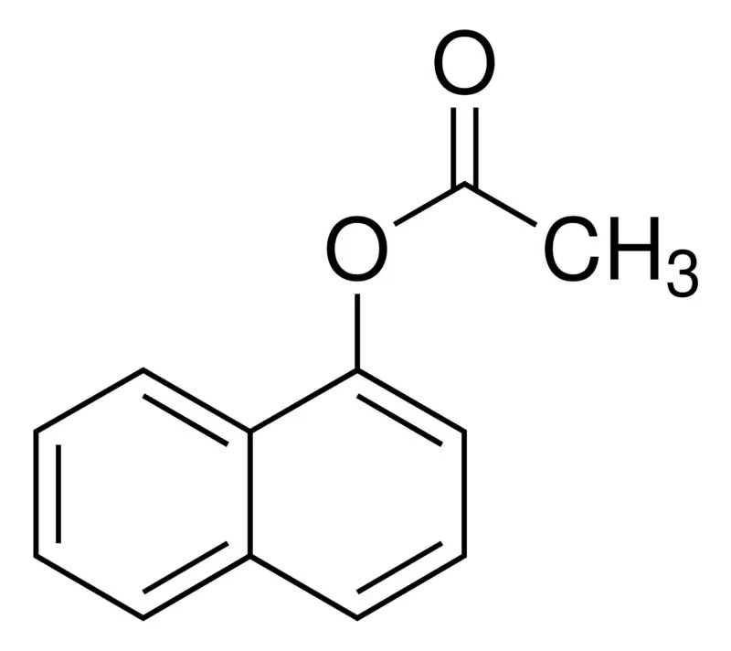 Thermo Scientific™ 1-Naphthyl Acetate (≥99% Purity)