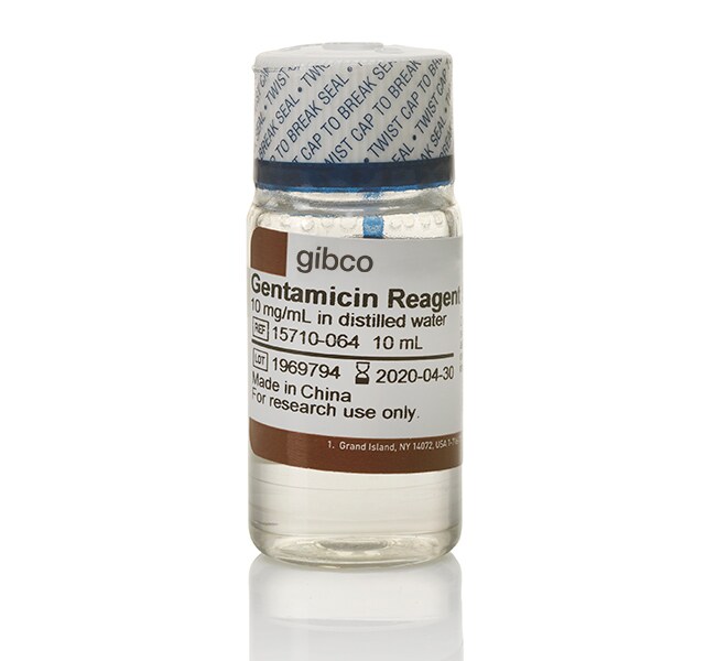 Gibco™ Gentamicin (50 mg/mL)