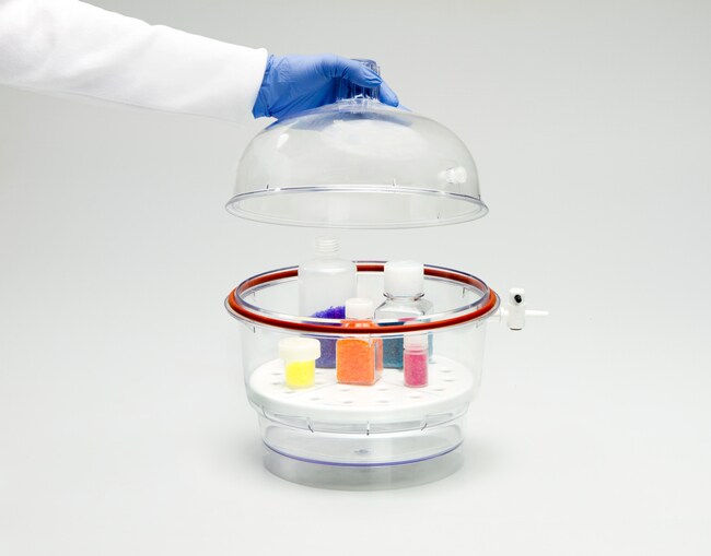 Thermo Scientific™ Nalgene™ Transparent Polycarbonate Classic Design Desiccator (Without Base Plate)