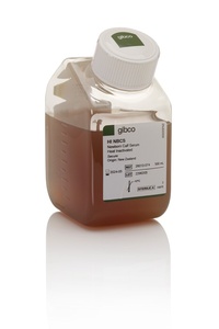 Gibco™ Newborn Calf Serum, Heat-Inactivated (NCS), New Zealand Origin