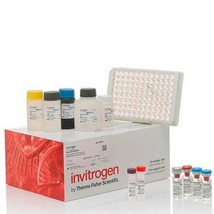 Invitrogen™ Human MMP2 ELISA Kit