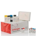 Invitrogen™ Human MMP2 ELISA Kit