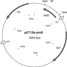 Sigma-Aldrich™ Novagen® pET-15b DNA Vector