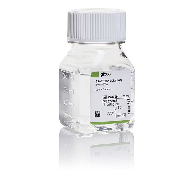 Gibco™ Trypsin-EDTA (0.5%), no phenol red, 100 mL 