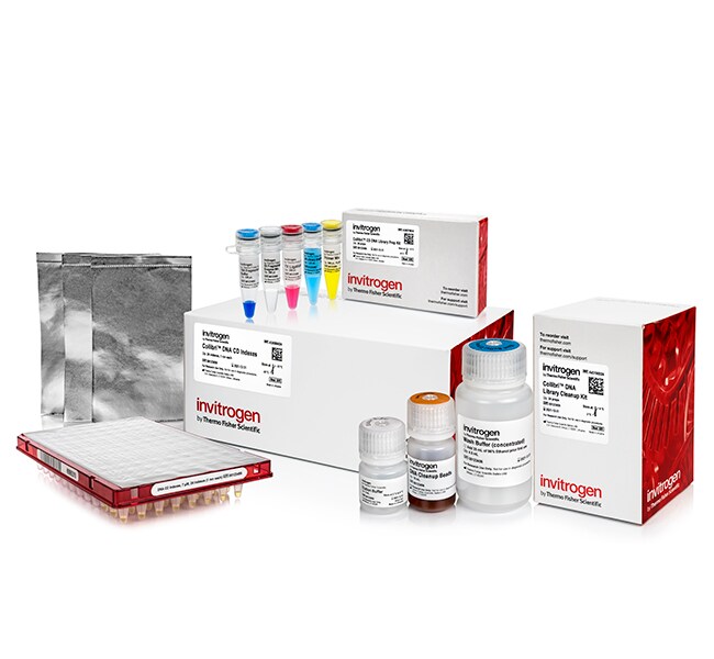 Invitrogen™ Collibri™ ES DNA Library Prep Kit for Illumina Systems with CD Indexes