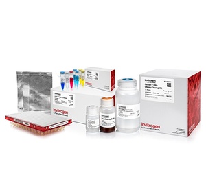 Invitrogen™ Collibri™ ES DNA Library Prep Kit for Illumina Systems with CD Indexes