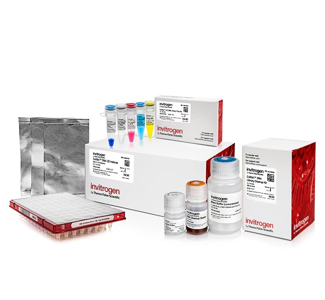 Invitrogen™ Collibri™ ES DNA Library Prep Kit for Illumina™ Systems with UD Indexes