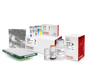 Invitrogen™ Collibri™ ES DNA Library Prep Kit for Illumina™ Systems with UD Indexes
