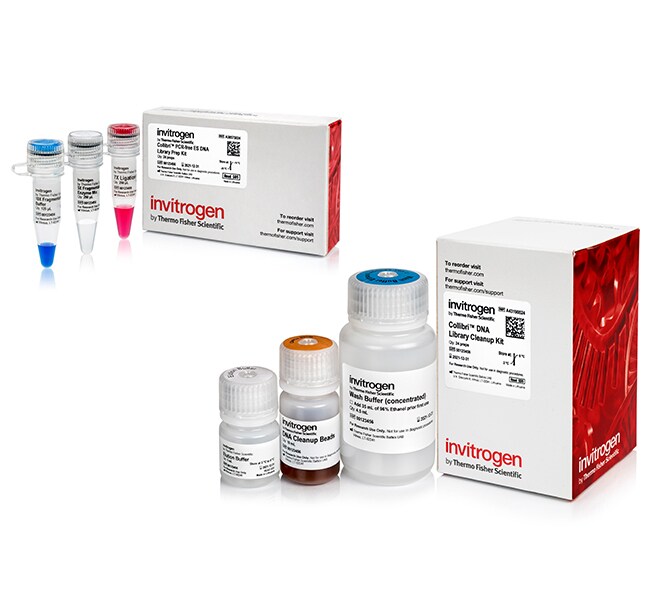 Invitrogen™ Collibri™ PCR-free ES DNA Library Prep Core Kit for Illumina™ Systems