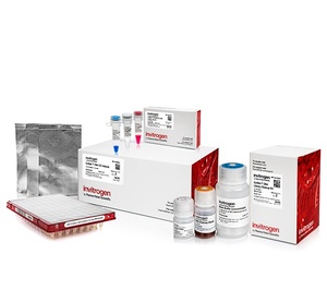 Invitrogen™ Collibri™ PCR-free ES DNA Library Prep Kit for Illumina™ Systems with CD Indexes