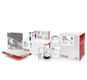 Invitrogen™ Collibri™ PCR-free ES DNA Library Prep Kit for Illumina™ Systems with CD Indexes