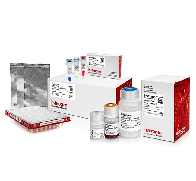 Invitrogen™ Collibri™ PCR-free ES DNA Library Prep Kit for Illumina™ Systems with UD Indexes
