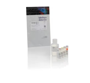 Invitrogen™ Qubit™ Protein Assay Kit
