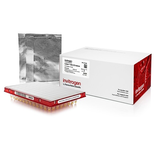 [A39118024] Thermo Scientific™ Invitrogen™ Collibri™ Stranded RNA Library Prep Indexes for Illumina™ Systems (24 Preps, RNA Single-indexes (Set 1-24))