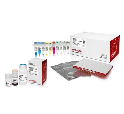 [A38994024] Invitrogen™ Collibri™ Stranded RNA Library Prep Kit for Illumina™ Systems (Library Prep Kit + Cleanup Kit (24 preps))