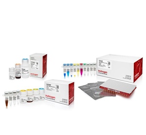 Invitrogen™ Collibri™ Stranded RNA Library Prep Kit for Illumina™ Systems