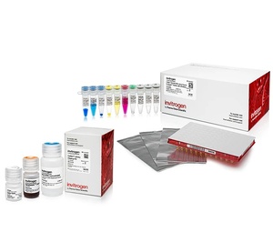 Invitrogen™ Collibri™ Stranded RNA Library Prep Kit for Illumina™ Systems