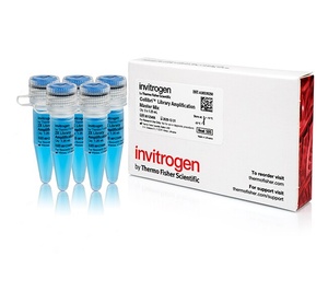 Invitrogen™ Collibri™ Library Amplification Master Mix