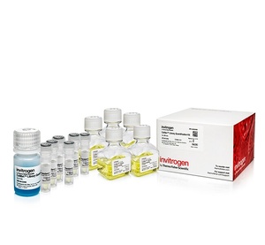 Invitrogen™ Collibri™ Library Quantification Kit