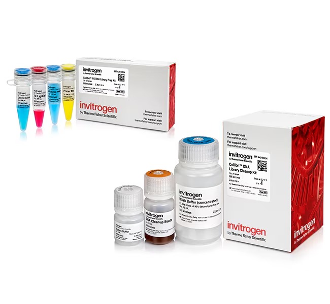 Invitrogen™ Collibri™ PS DNA Library Prep Kit for Illumina™ Systems