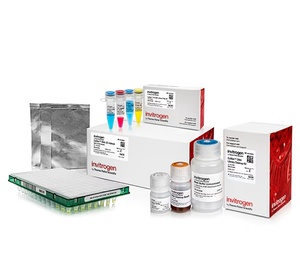 Invitrogen™ Collibri™ PS DNA Library Prep Kit for Illumina™ Systems