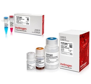Invitrogen™ Collibri™ PCR-free PS DNA Library Prep Kit for Illumina Systems