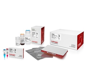 Invitrogen™ Collibri™ PCR-free PS DNA Library Prep Kit for Illumina Systems