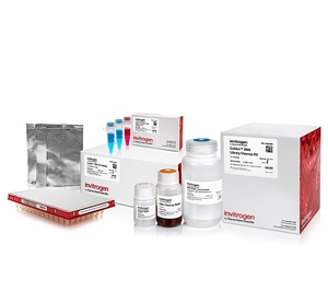 Invitrogen™ Collibri™ PCR-free PS DNA Library Prep Kit for Illumina Systems