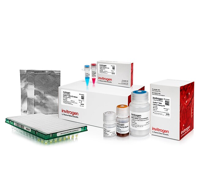 Invitrogen™ Collibri™ PCR-free PS DNA Library Prep Kit for Illumina Systems