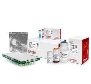 Invitrogen™ Collibri™ PCR-free PS DNA Library Prep Kit for Illumina Systems