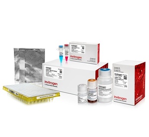 Invitrogen™ Collibri™ PCR-free PS DNA Library Prep Kit for Illumina Systems