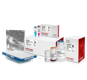 Invitrogen™ Collibri™ PCR-free PS DNA Library Prep Kit for Illumina Systems