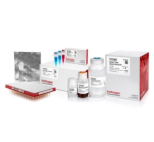 Invitrogen™ Collibri™ PCR-free PS DNA Library Prep Kit for Illumina Systems