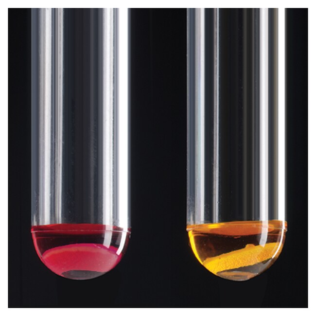 Thermo Scientific™ Remel™ Candida albicans Test Kit, 50 Tests 