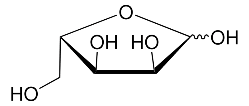 Apollo Sci L(+)-Ribose