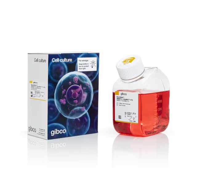 Gibco™ BenchStable™ DMEM/F12 with GlutaMAX, Phenol Red, No HEPES